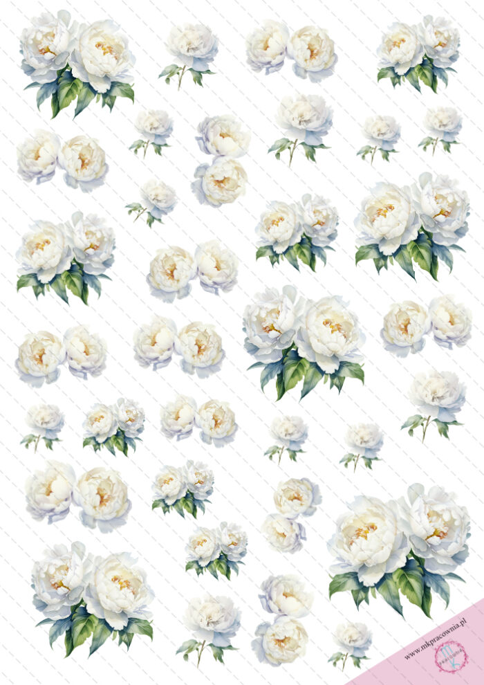 kwiaty białe do wycinania grafiki