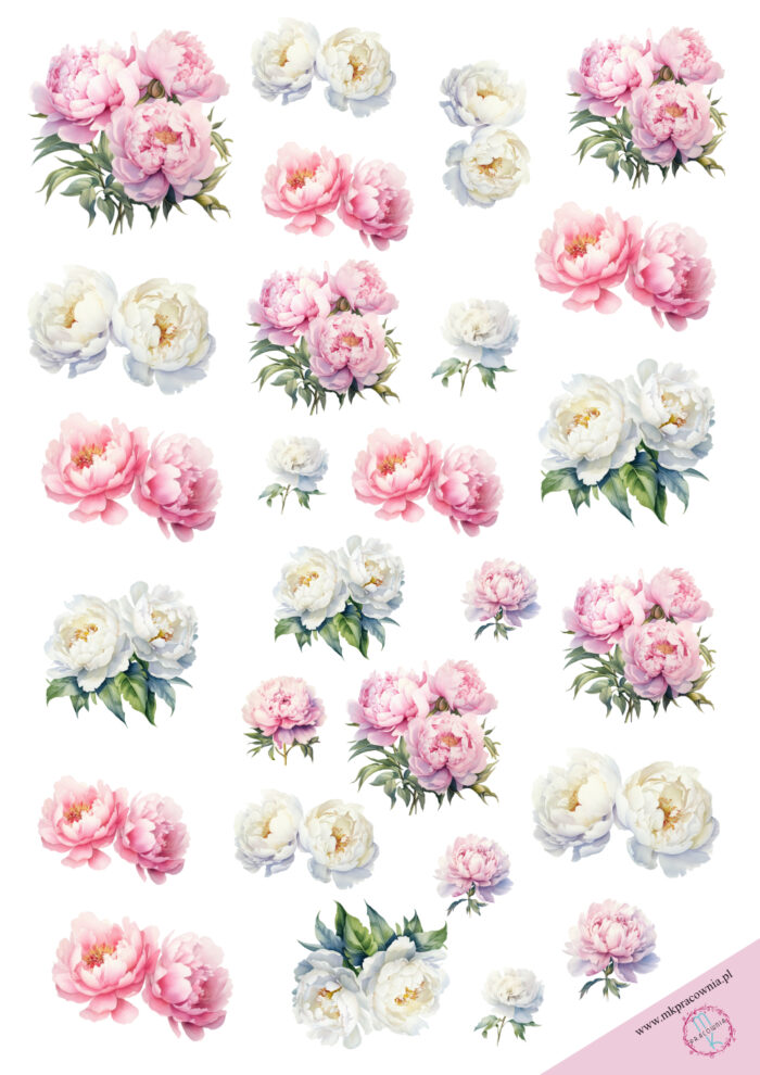 kwiaty różowe i białe do
