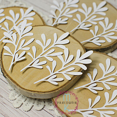 liście gałązki białe