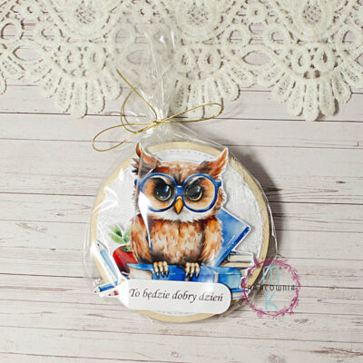 magnes sowa dla nauczycieli