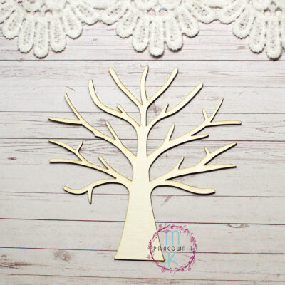 drzewo bez liści, pień z gałęziami