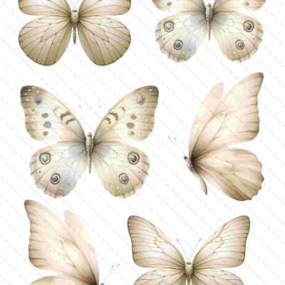 6 kremowych motyli w tym dwa odwrócone bokiem że widać tylko jedno skrzydło